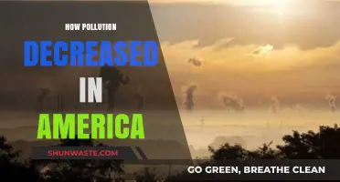 America's Pollution Control: Success Stories