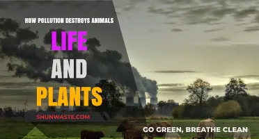 Pollution's Devastating Impact on Nature's Balance
