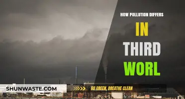 Pollution's Global Divide: Third World's Unique Struggles