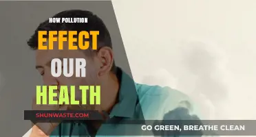 Pollution's Impact: Our Health at Risk