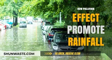 Air Pollution: Impact on Rainfall and Climate