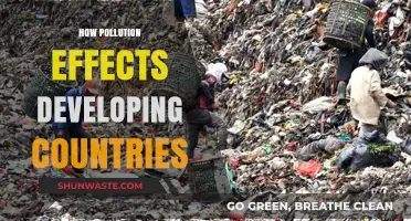 Pollution's Impact: Developing Countries' Plight