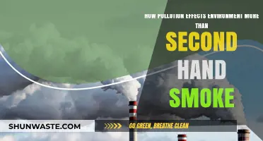 Pollution's Impact: Worse than Second-Hand Smoke