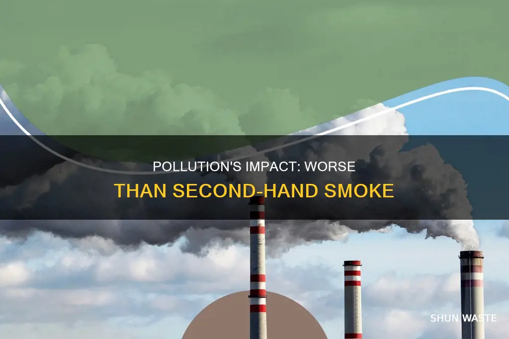 how pollution effects environment more than second hand smoke