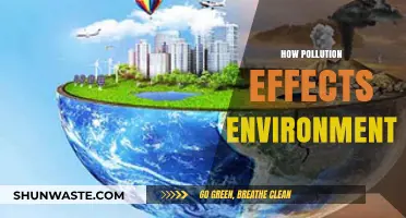 Pollution's Impact: Environmental Fallout and Our Future
