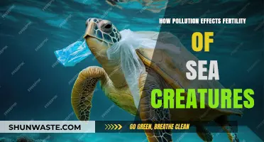 Sea Life Fertility: Pollution's Devastating Impact