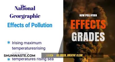Pollution's Impact: Lower Grades, Unhealthy Students