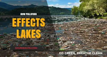 Lakes Under Threat: Pollution's Impact and Effects