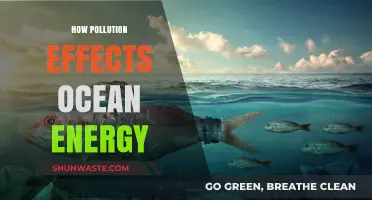 Ocean Energy's Future: Pollution's Impact
