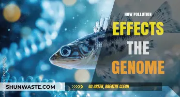 Pollution's Impact: Genomes Under Threat