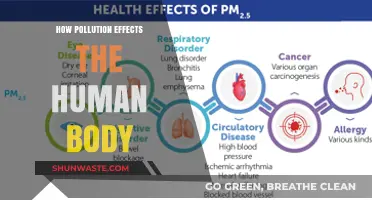 Pollution's Impact: How It Affects Human Health