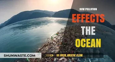 Ocean's Fury: Understanding Pollution's Impact