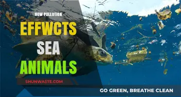 Sea Life Struggles: Impact of Pollution