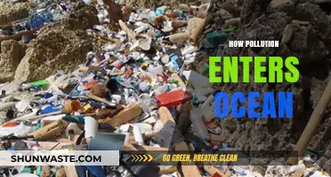 Ocean Pollution: The Many Ways We're Killing Our Seas
