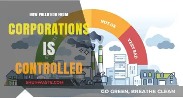 Pollution Control: Corporate Accountability Measures