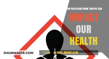 Unveiling the Hidden Dangers: Traffic Pollution's Impact on Health