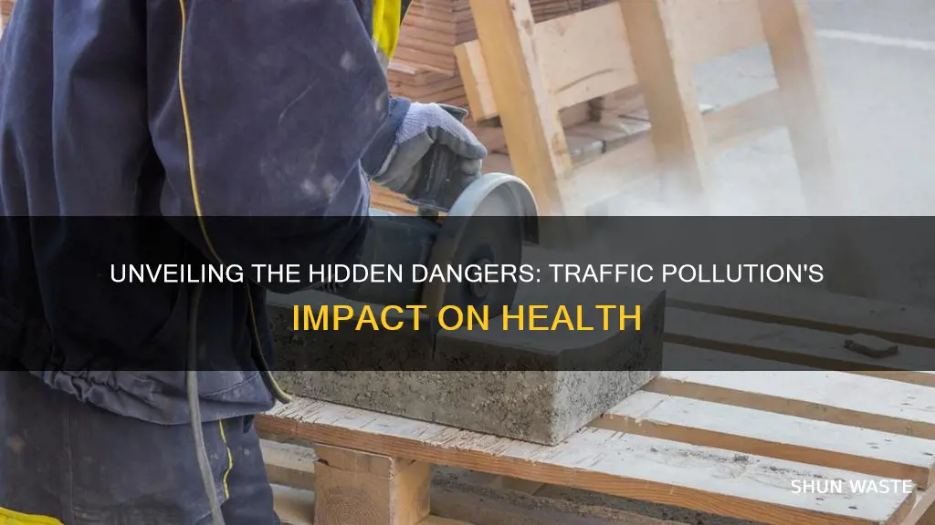 how pollution from traffic can impact our health