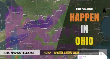 Ohio's Pollution Problem: Causes and Concerns