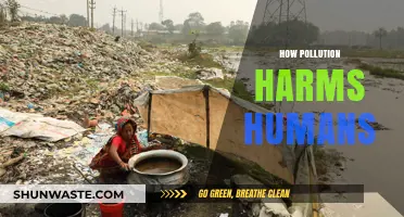 Pollution's Harmful Impact on Human Health