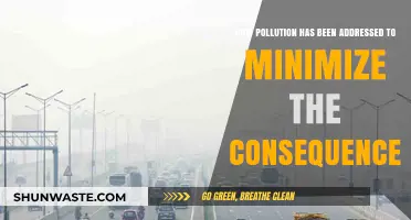 Addressing Pollution: Strategies to Mitigate Devastating Impacts