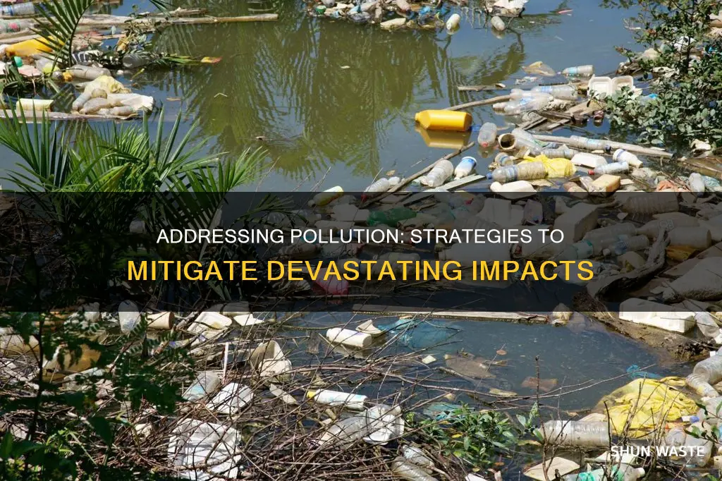 how pollution has been addressed to minimize the consequences
