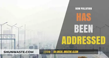 Addressing Pollution: Strategies and Their Impact