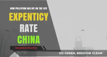 Pollution's Impact: China's Life Expectancy Plummets