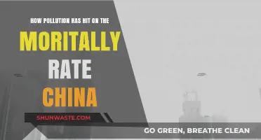 China's Pollution Crisis: A Deadly Impact
