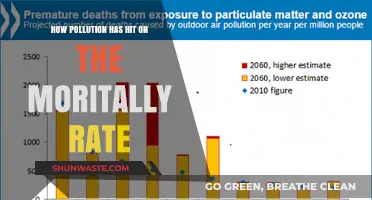 Pollution's Deadly Impact: Mortality Rates Rise