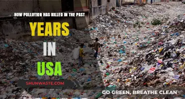 Pollution's Deadly Toll in the USA