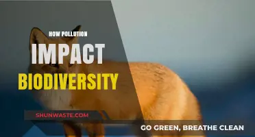 Pollution's Impact: Biodiversity's Slow Death