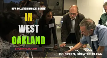 West Oakland's Health Crisis: Pollution's Deadly Impact