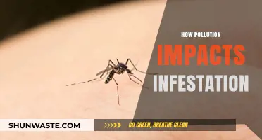 Pollution's Pest Problem: Impacting Infestations