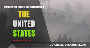 Pollution's Impact: United States' Environmental Crisis