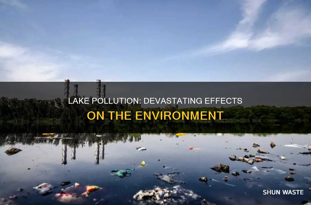 how pollution in a lake affects the enviornment