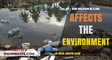 Lake Pollution's Devastating Impact on Ecosystems and Environmental Health