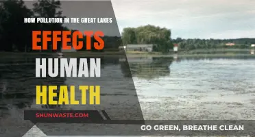 Great Lakes Pollution: Human Health Impact