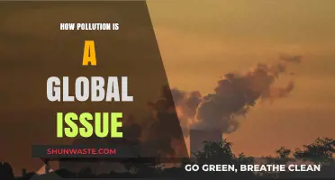 Pollution's Global Reach: A Universal Problem