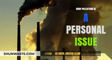 Pollution's Personal Impact: Your Health, Your Problem