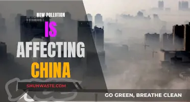 China's Pollution Crisis: A Threat to the Nation's Future