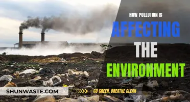 Pollution's Impact: Devastating Effects on Our Environment