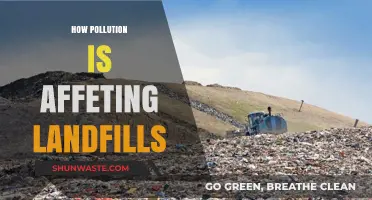 Pollution's Impact: Landfills and the Environment