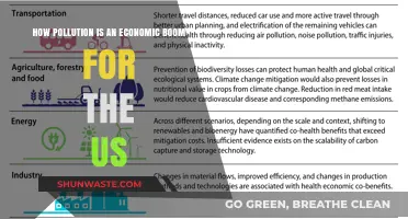 Pollution's Economic Boon: US Profits from Environmental Crisis