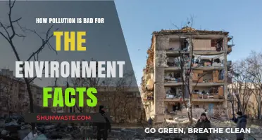 Pollution's Devastating Impact: Facts About Environmental Degradation and Harm