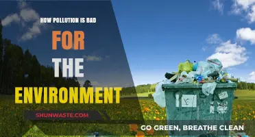 Pollution's Harmful Impact: Destroying Our Environment