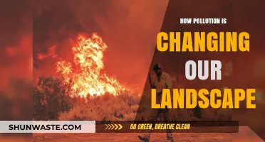 The Changing Landscape: Pollution's Impact