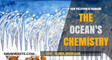 The Ocean's Chemistry: Pollution's Impact
