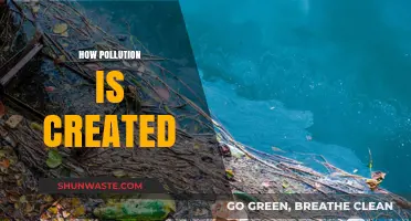 The Dark Side of Human Progress: Pollution's Creation