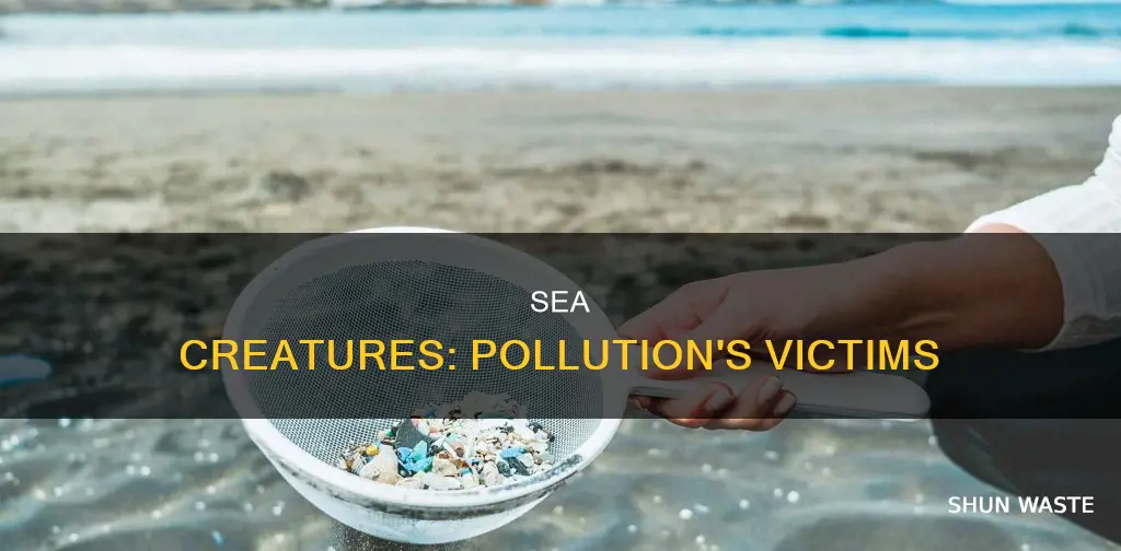 how pollution is dangerous for sea animals