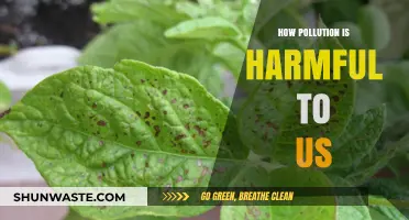 Pollution's Harm: A Toxic Threat to Humans